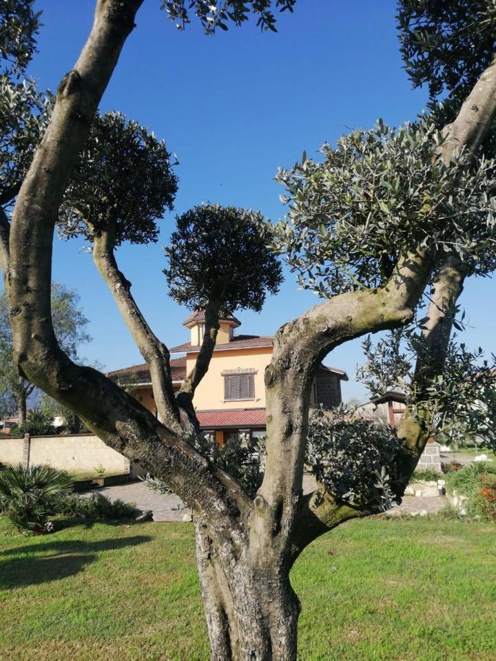 Ponte Vestilli B&B Лиматола Екстериор снимка
